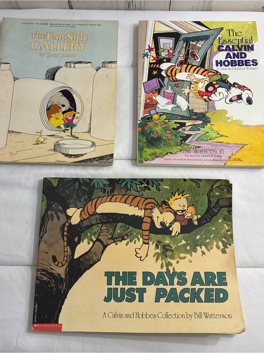 Calvin and Hobbes Collection - The Days Are Just Packed + Others